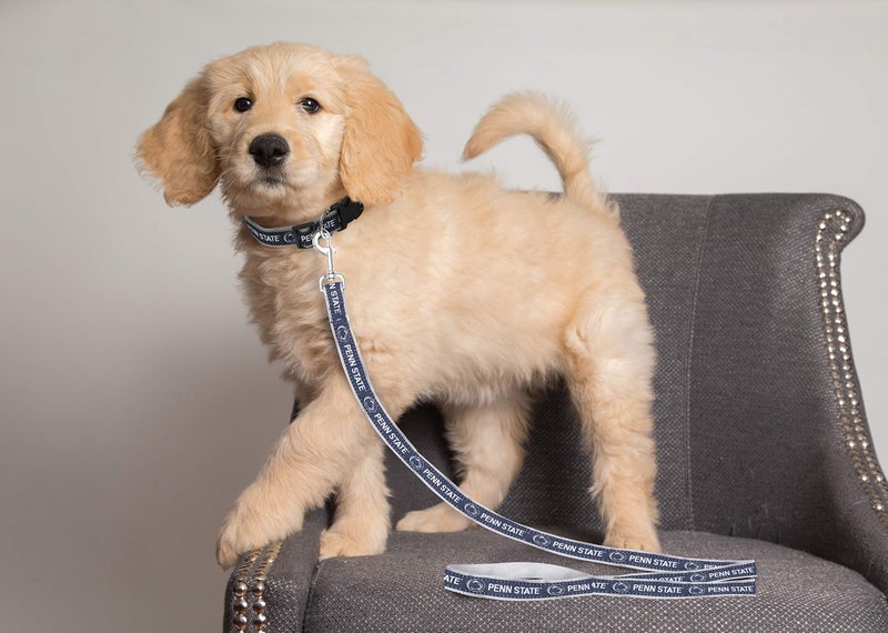 Pets First NCAA PET String, Medium, Penn State Nittany Lions, Dog String, Shiny & Colorful String for Dogs & Cats Licensed by the NCAA, Old Version - Image 2